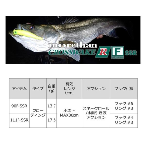 Приманка рыболовная DAIWA MORETHAN CROSSWAKE R 90F-SSR Ader Double Chart Conoshiro — фото 6