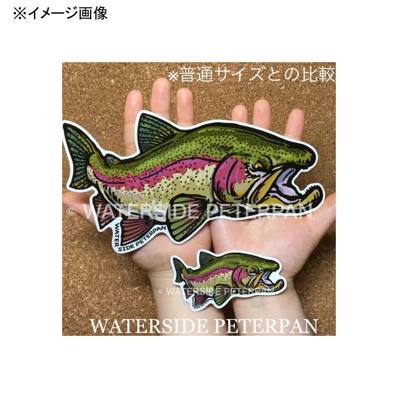BIG Rainbow Trout Sticker — фото 3