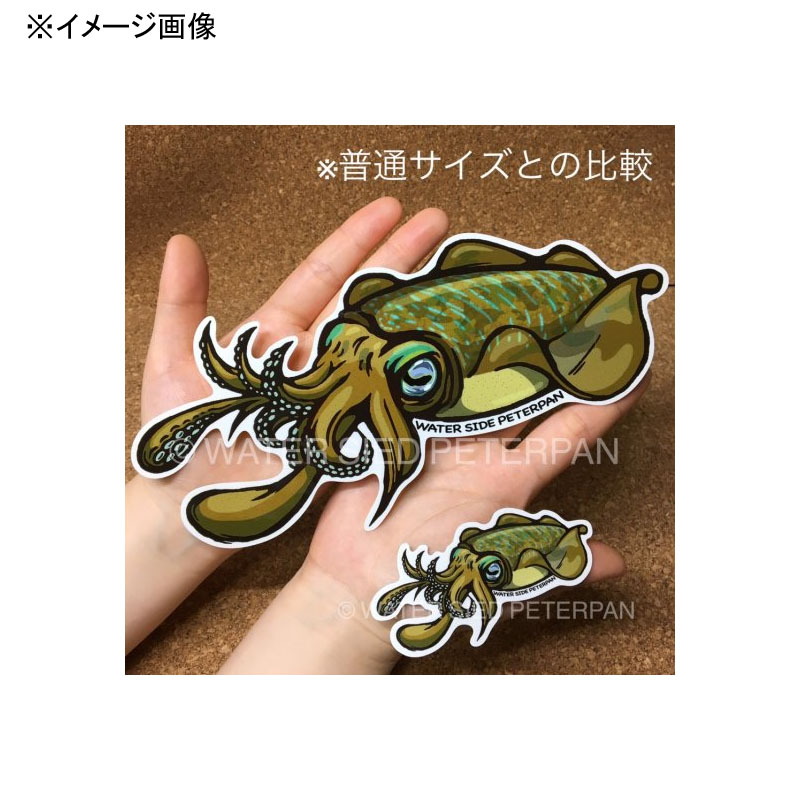 BIG Bigfin Reef Squid Sticker — фото 3