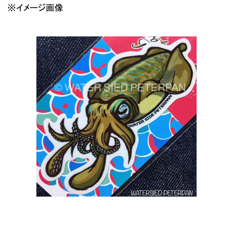 BIG Bigfin Reef Squid Sticker — фото 4
