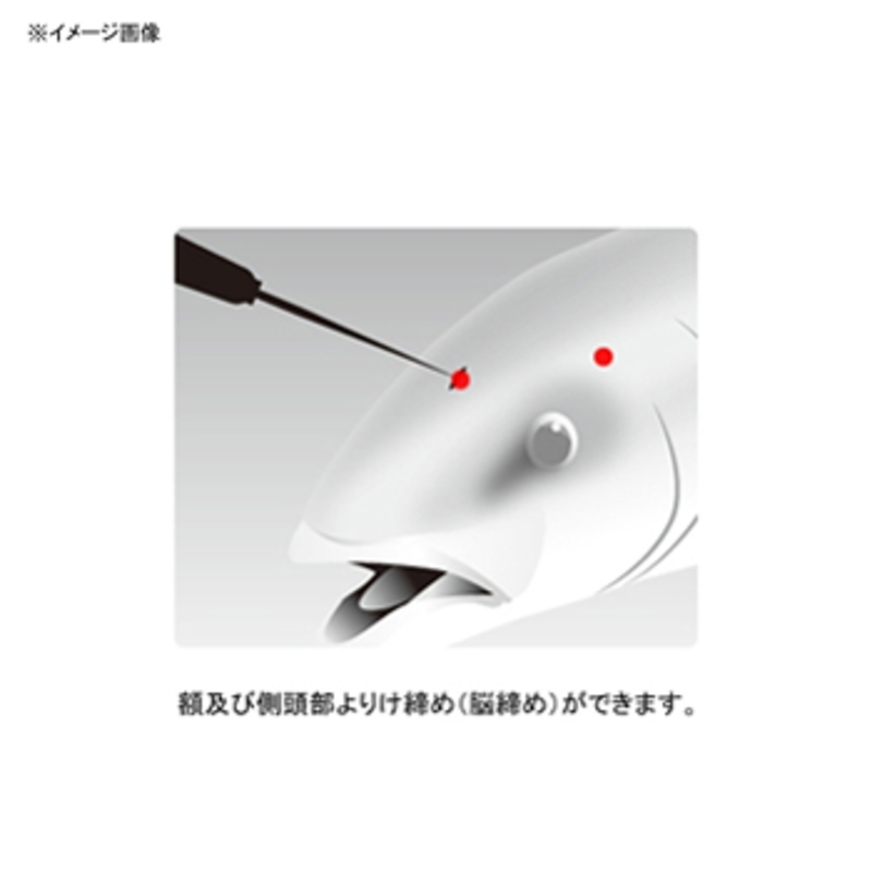 Ikejime Pick Short — фото 2