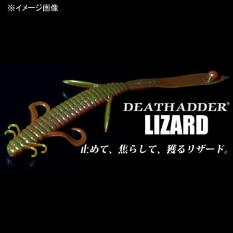 Death Adder Lizard — фото 2