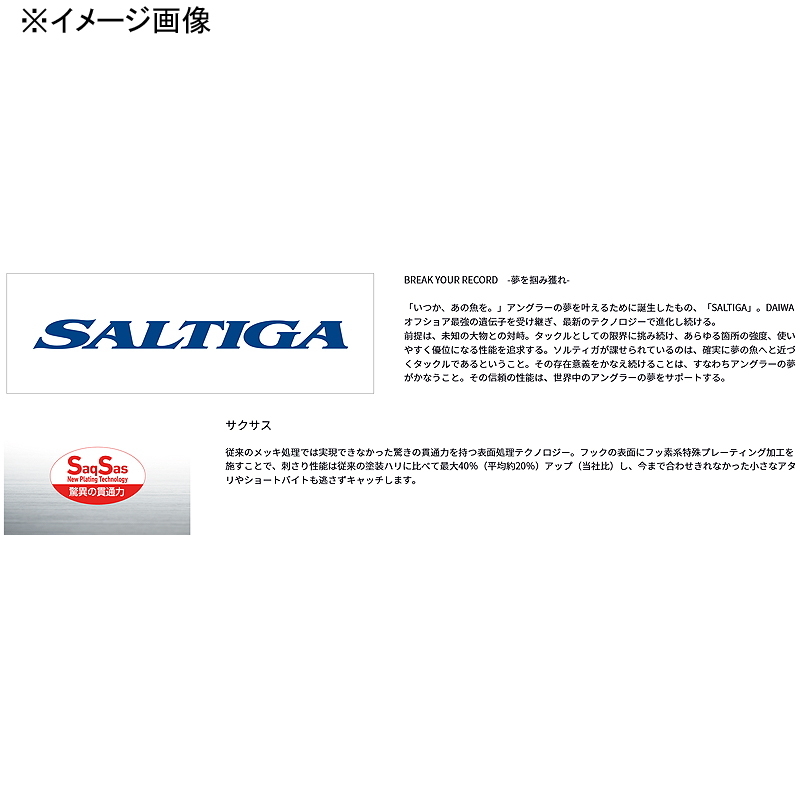Saltiga Assist SS SLJ Fall SP — фото 3
