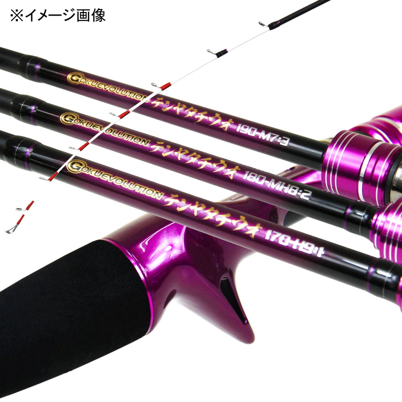 Gokuevolution Tenya Tachiuo 170-H9:1 (2-piece) — фото 3