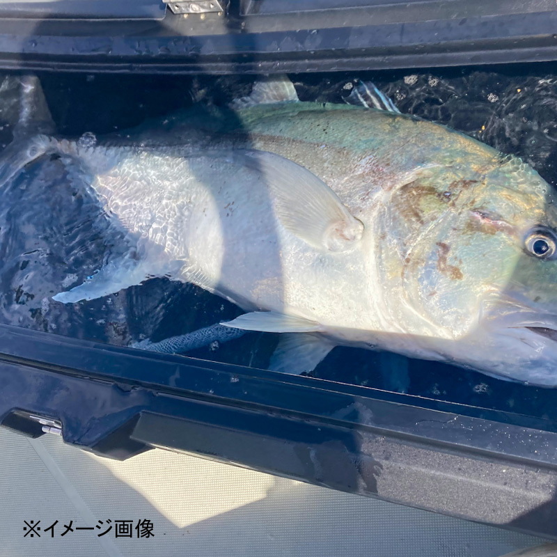 Sprint Stick SSD 70L Offshore Casting Rod — фото 6