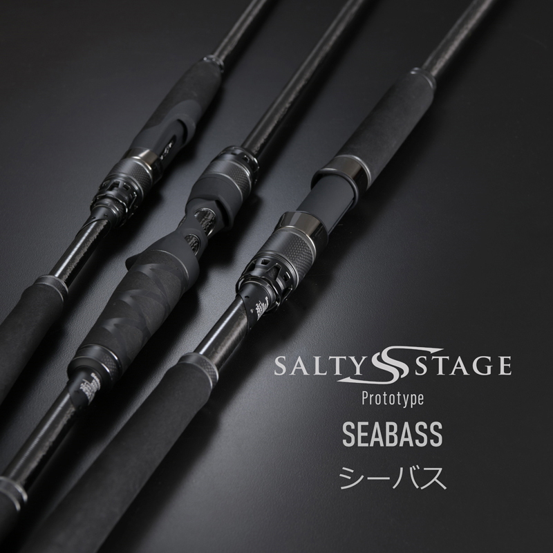 Saltist Stage Prototype Seabass XSBC-742X-BB (Bait・2-piece) — фото 2