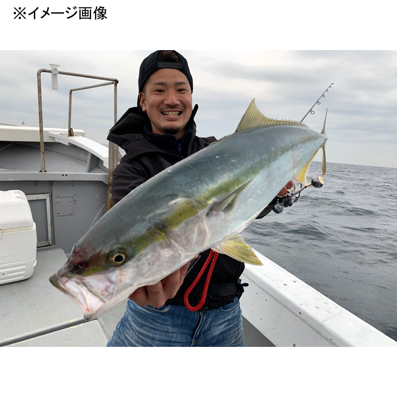 JIGFORCE SSD Jigging Rod S650-LJ — фото 4