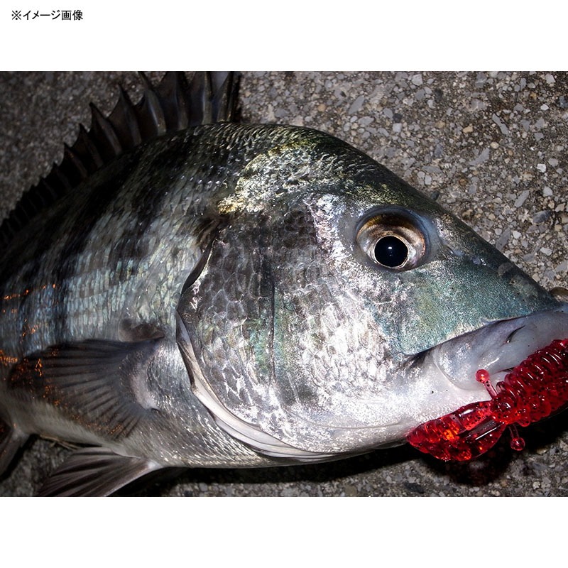 Saltwater Bubble Spear — фото 2