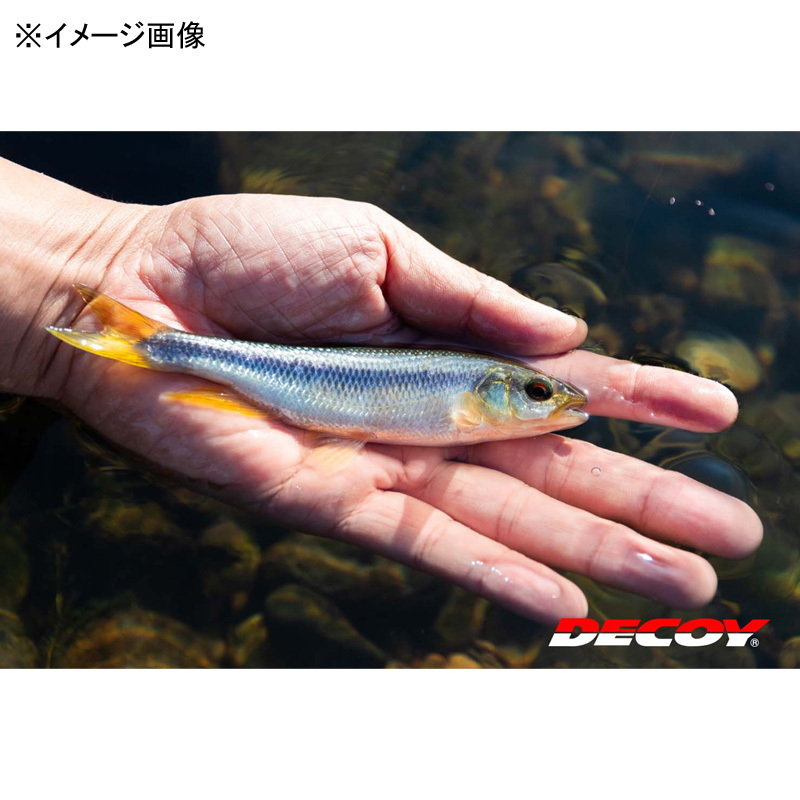 Chabiki Hook Short — фото 7
