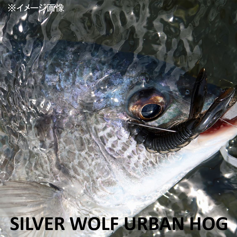 Silver Wolf Urban Hog — фото 6