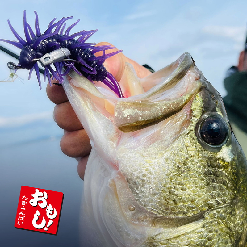 Nogales Hook Set Sinker Omoshi! — фото 6