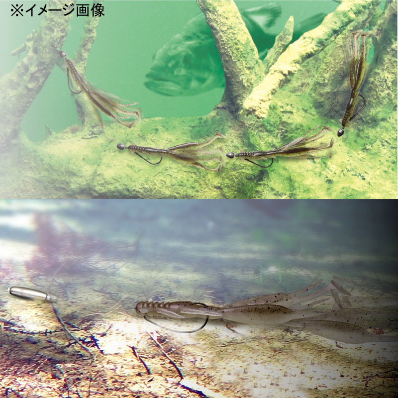 Jimmy Shrimp — фото 3