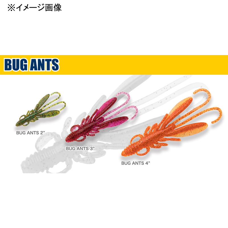 Bug Ants — фото 3