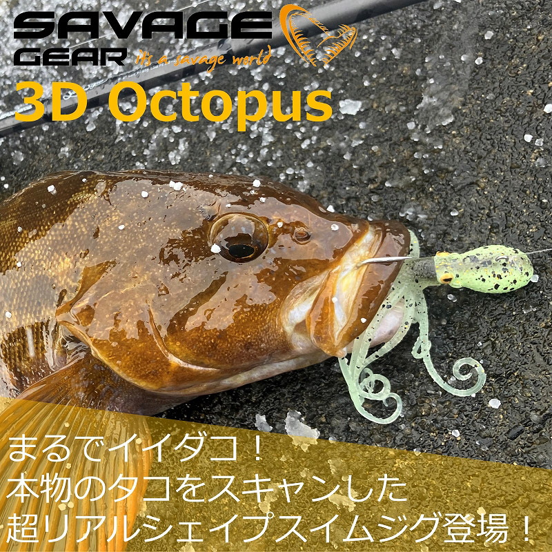 3D Octopus — фото 2