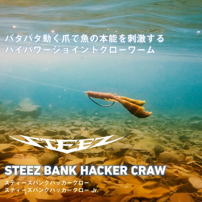 Steez Bank Hacker Claw — фото 2