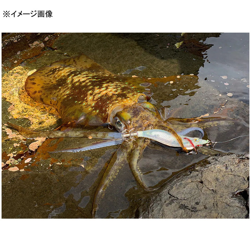 Sephia Clinch Flash Boost — фото 3