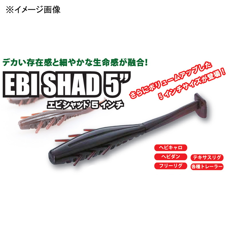 Ebi Shad — фото 2