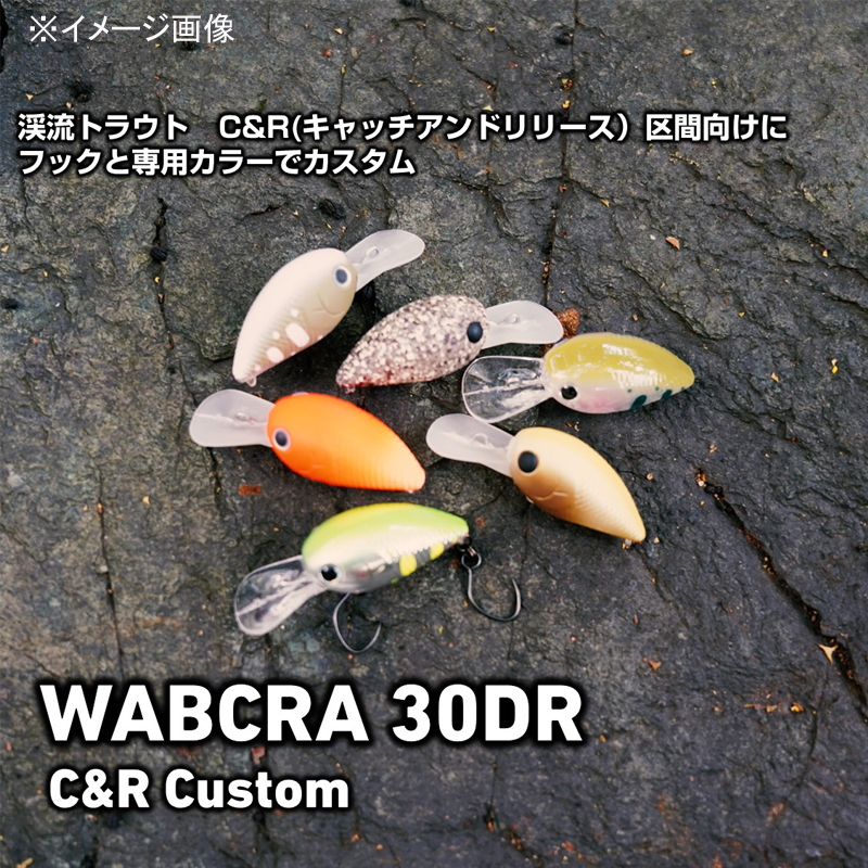 Wabukura 30DR C&R Custom — фото 2