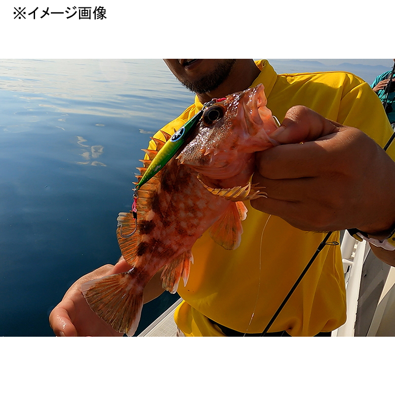 Flap SLJ — фото 2