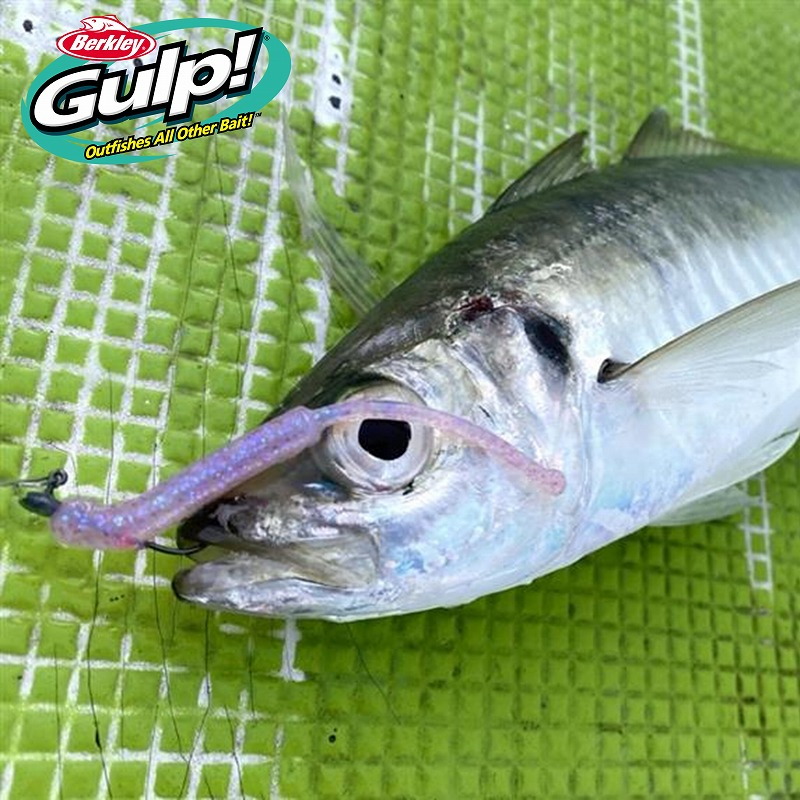 Gulp! Saltwater Middle Sardine — фото 7