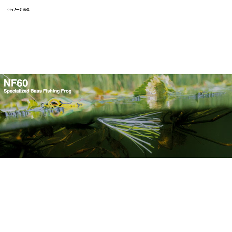 NF60 — фото 2
