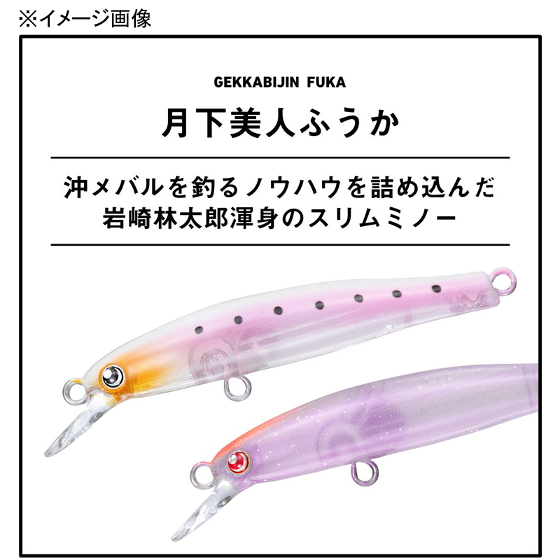 Gekkabijin Fuuka S — фото 2