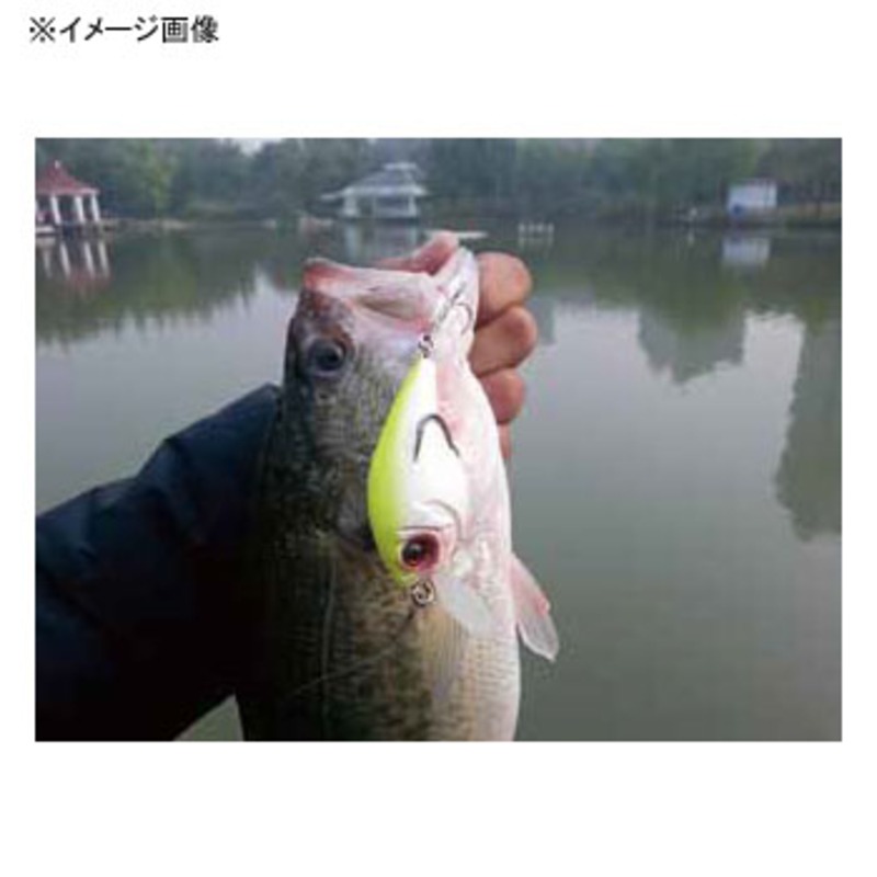 KJ Crankbait SL (Square Lip) — фото 3