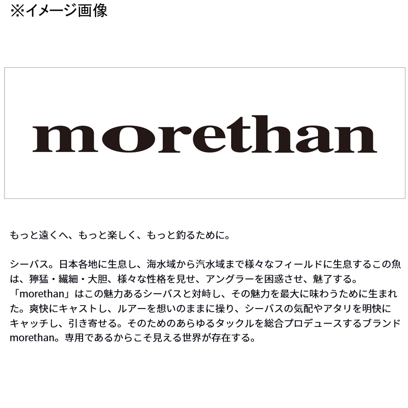 Morethan Valiant — фото 2