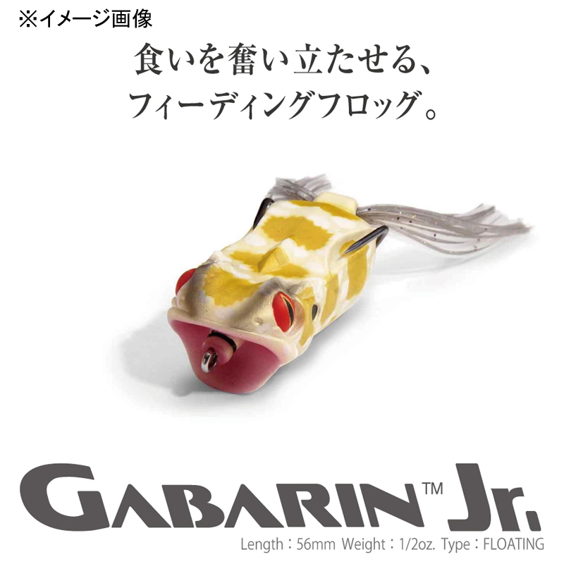 GABARIN Jr. — фото 2