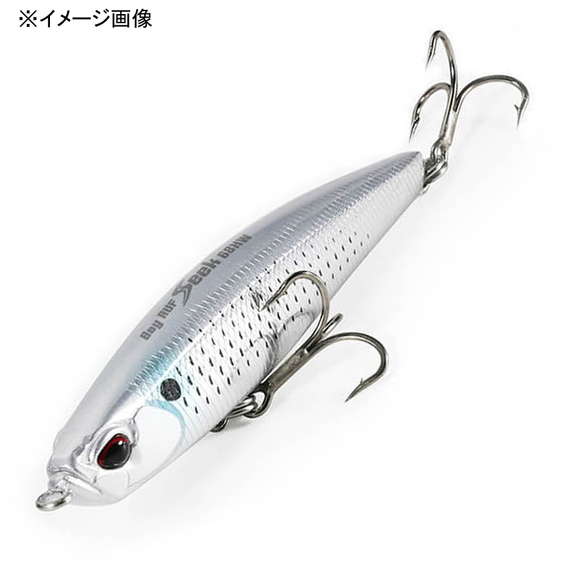 Bay Roof Seek HW — фото 2