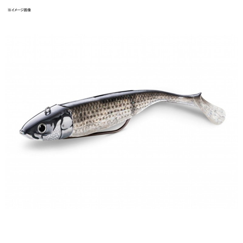 360-degree GT COASTAL BISCAY SHAD (Biscay Shad) — фото 2