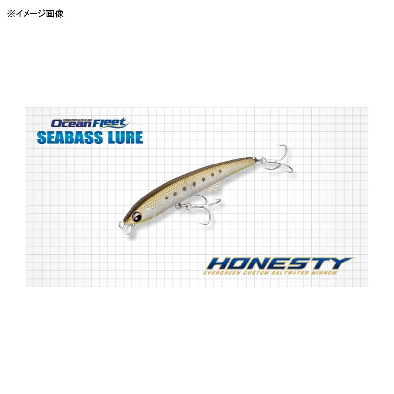 Ocean Fleet Honesty (Sinking) — фото 2