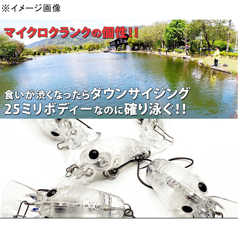 Micro Kura P DR 2 Hook SS — фото 2