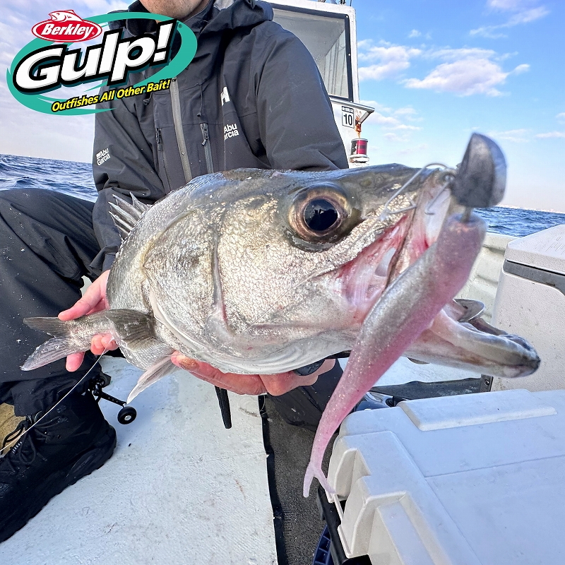 Gulp! Saltwater Jerk Shad — фото 7