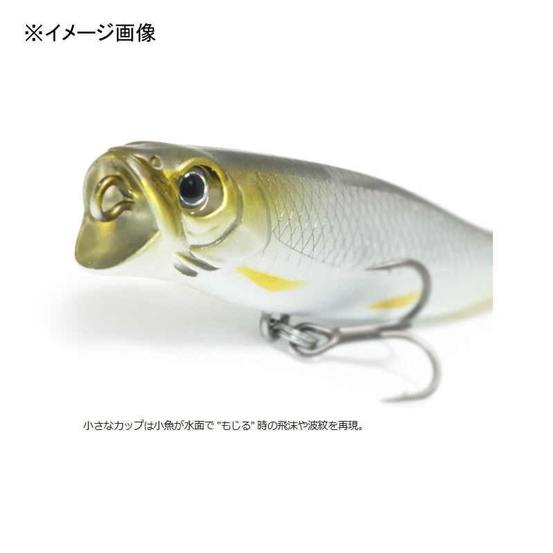 G.C.WAKA-PEN (Waka-Pen) — фото 3