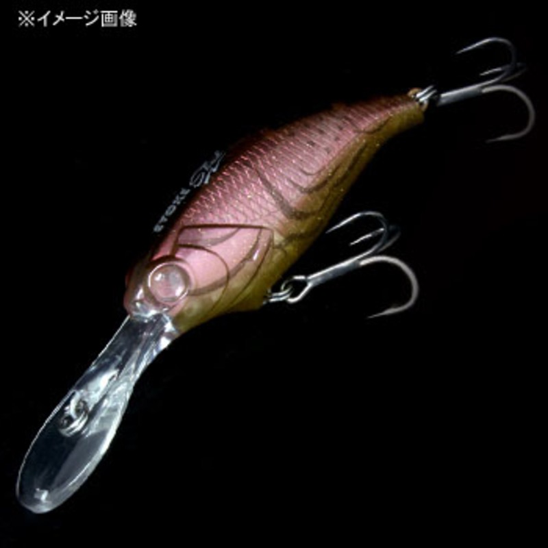 EVOKE SHAD — фото 2