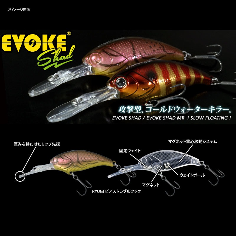 EVOKE SHAD MR — фото 2