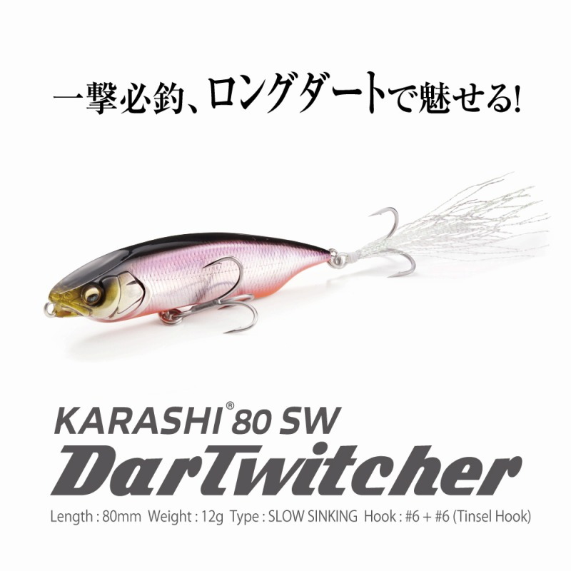 KARASHI SW DARTWITCHER SS — фото 2