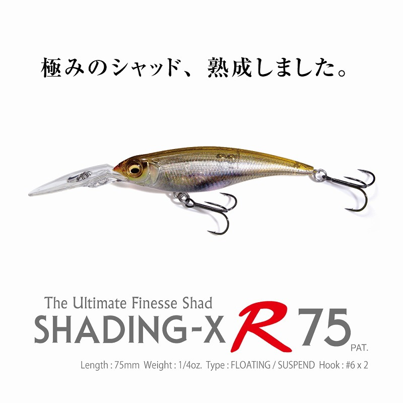 SHADING-X R SP — фото 2