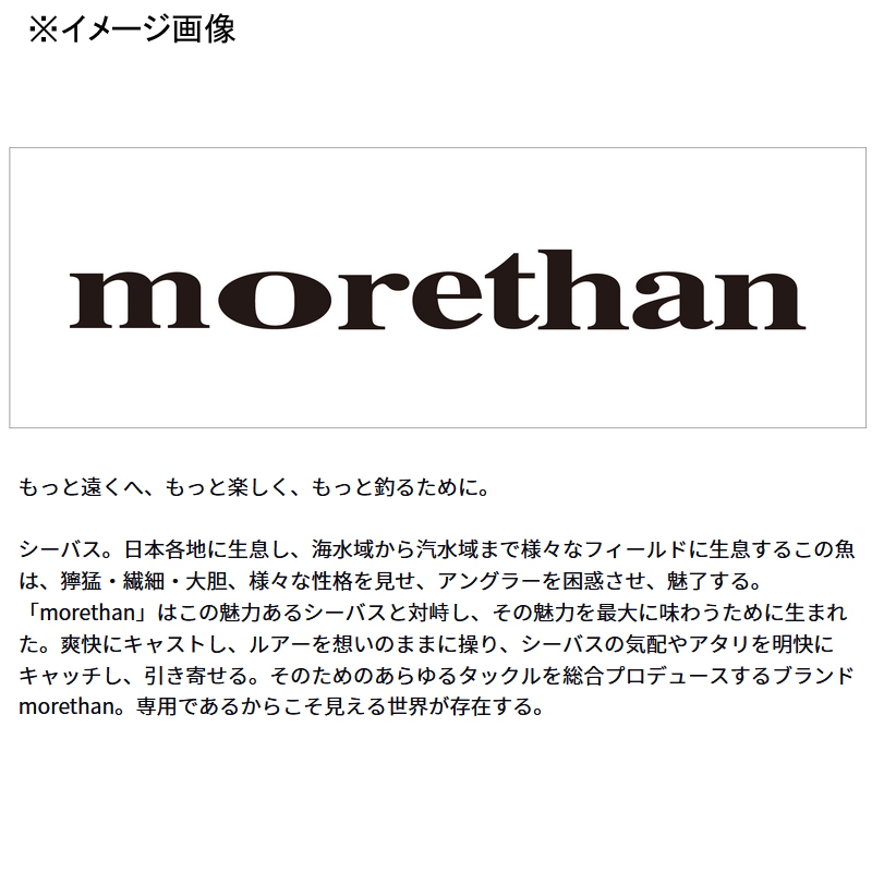 Morethan Shallow Roll 126F-SSR — фото 2