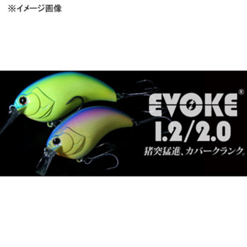 EVOKE 2.0 — фото 2