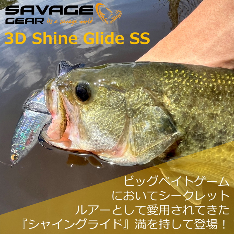 3D Shine Glide SS — фото 2
