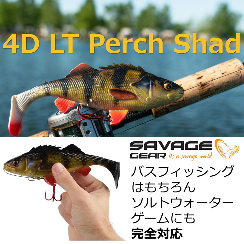 4D Line Through Perch Shad SS — фото 2