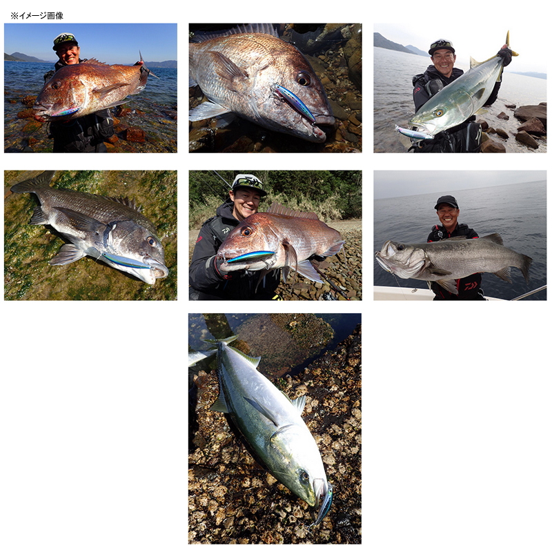 SHORELINE SHINER-Z VERTICE STG (Strong) 97S — фото 5