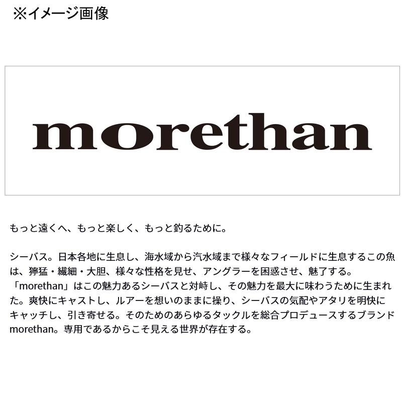 Morethan Switch Hitter Laser Impact 85S-LI — фото 2