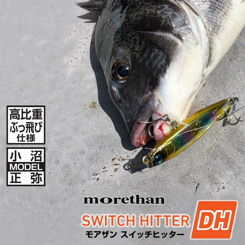 Morethan Switch Hitter DH S — фото 2