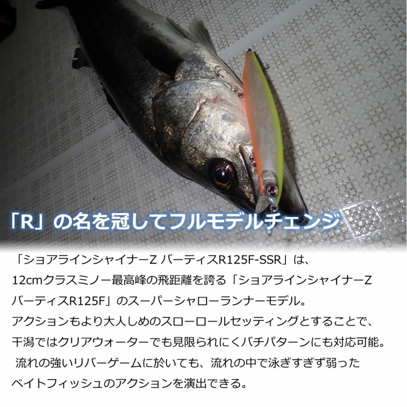 Shoreline Shiner Z Vertice R 125F-SSR — фото 3
