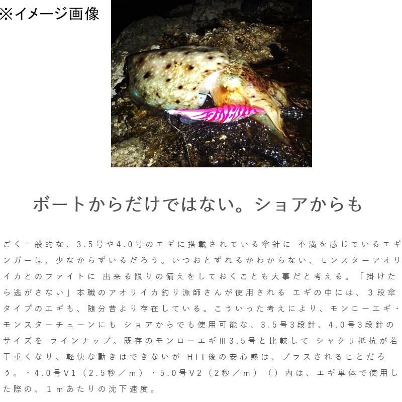 Monroe Egi Monster Tune V2 — фото 10