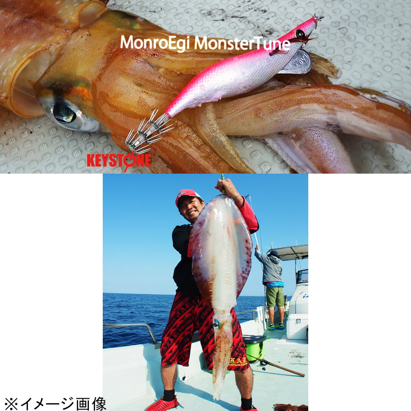 Monroe Egi Monster Tune V2 — фото 2