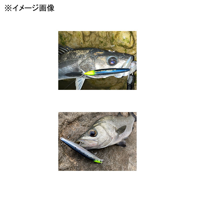Shoreline Shiner Z Vertice R140F-SSR — фото 3